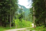 2014-07-05_Laengental-N-Hochweg (969). JPG